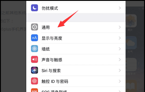 苹果手机iphone 8p辅助圆球怎么设置图9