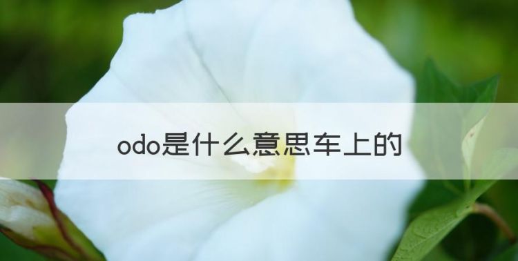 odo是什么意思车上的，odo汽车仪表盘什么意思图1