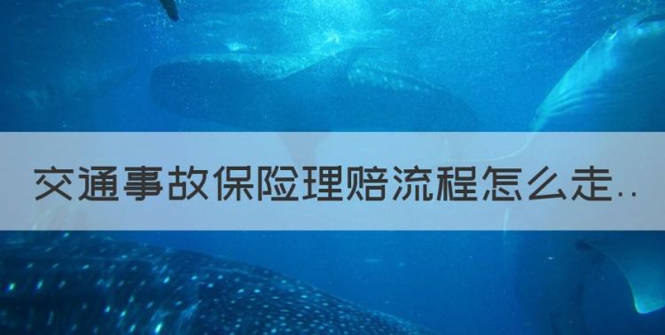 交通事故保险理赔流程怎么走，交通事故保险理赔的程序是怎样的图1