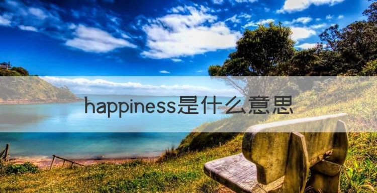 happiness是什么意思图1