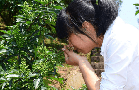 花椒怎么做才又麻又香，自己在家里面熬制花椒的时候怎么做图4