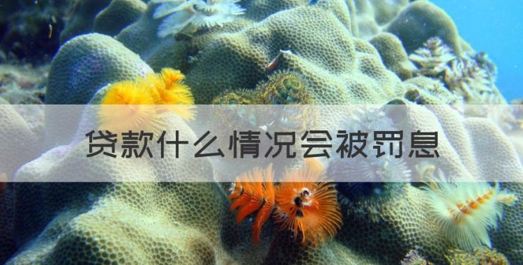 贷款什么情况会被罚息，贷款逾期罚息国家规定怎么计算