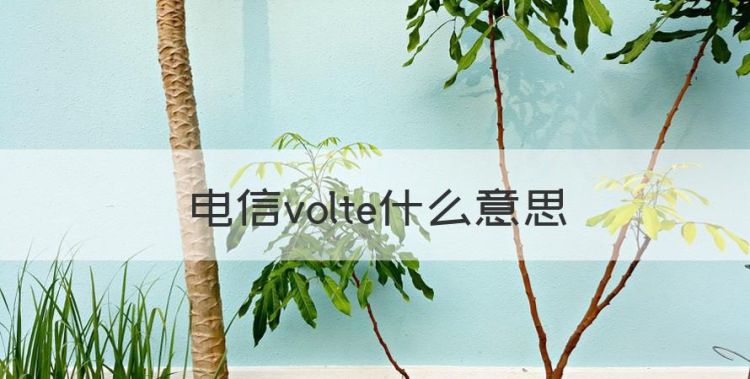 电信volte什么意思，电信volte是什么意思图1