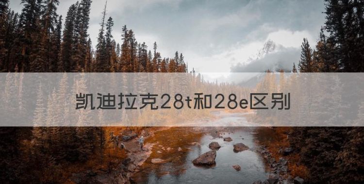 凯迪拉克28t和28e区别，凯迪拉克28i 和28t区别图1