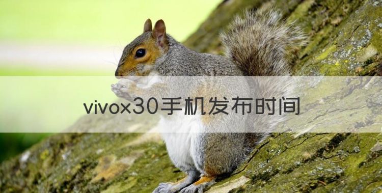 vivox30参数配置，vivox30手机发布时间图1