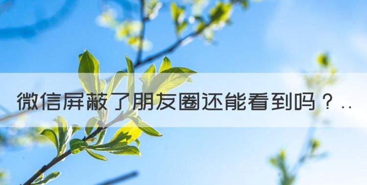 微信屏蔽了朋友圈还能看到，微信被屏蔽了还能发信息过去吗