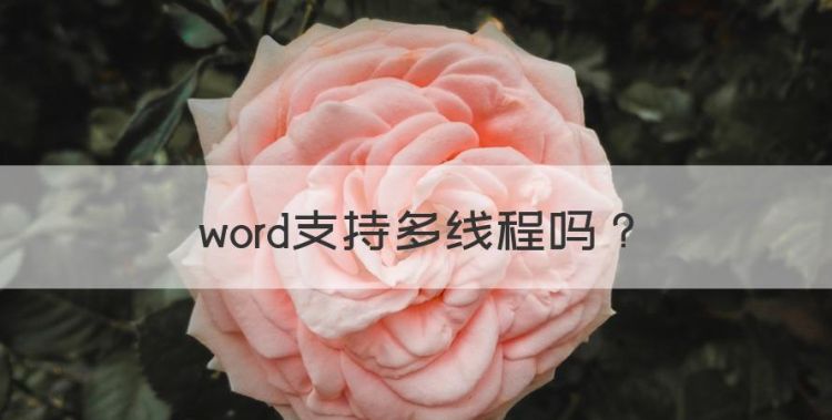 word支持多线程，多开网页要多核还是单核