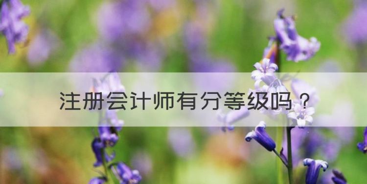 注册会计师有分等级，注册会计师考试区分等级吗