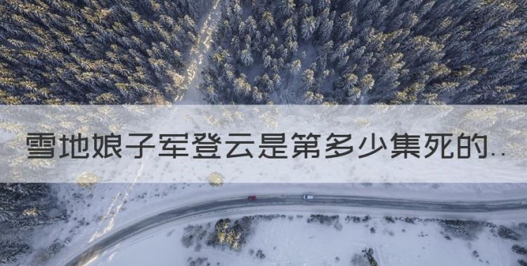 雪地娘子军登云是第多少集死的