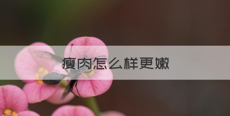 瘦肉怎么样更嫩，瘦肉怎样切才嫩图1