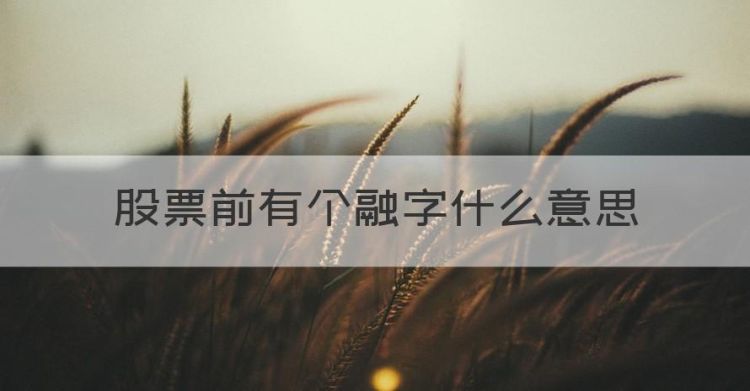 股票前有个融字什么意思，股票前面带融是什么意思图1