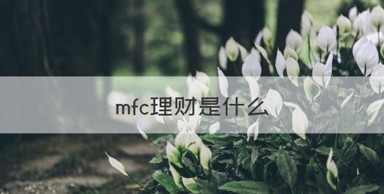 mfc理财是什么，DAM理财平台是什么时候开始图1