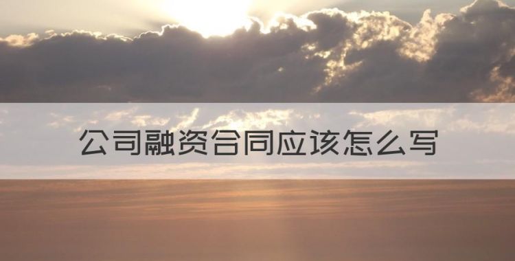 有关融资公司借款合同，公司融资合同应该怎么写图1