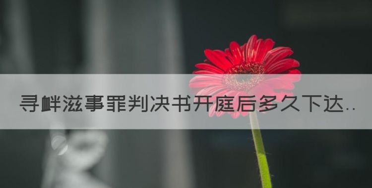 寻衅滋事罪判决书开庭后多久下达图1