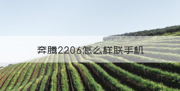 奔腾2206怎么样联手机图1