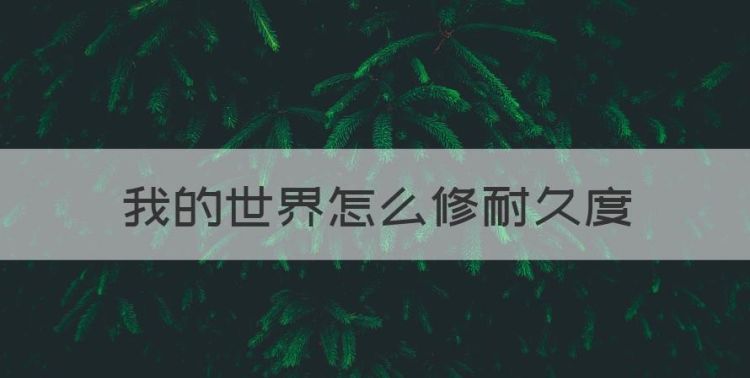 我的世界怎么修耐久度，我的世界怎么显示耐久度图1