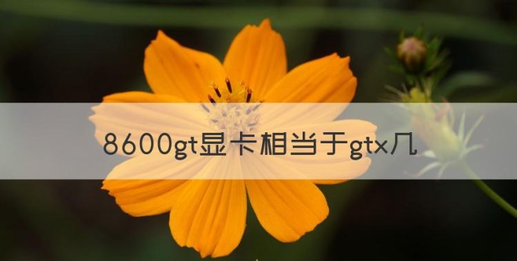 8600gt显卡相当于gtx几图1