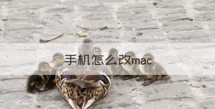 手机怎么改mac图1