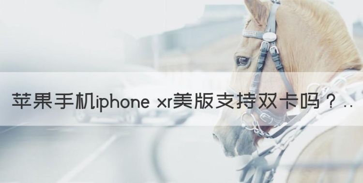 苹果手机iphone xr美版支持双卡图1