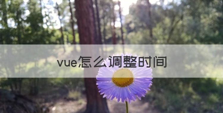 vue怎么调整时间，xgplayer都支持什么视频格式图1