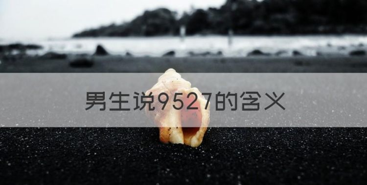 9527是什么意思，男生说9527的含义图1