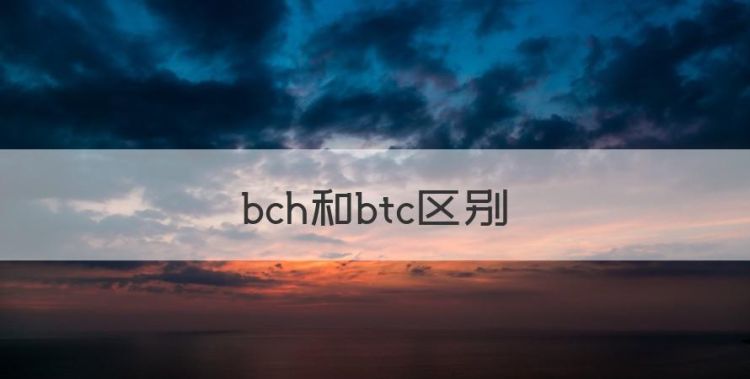 bch和btc区别，bch码和循环码区别图1