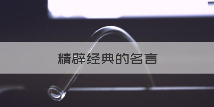 精辟经典的名言，精辟名言格言大全图1