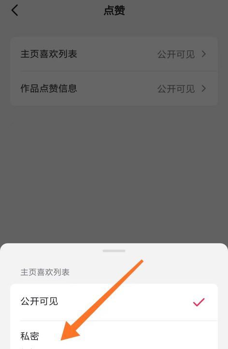 抖音怎么把喜欢隐藏，抖音喜欢怎么隐藏不给别人看图8