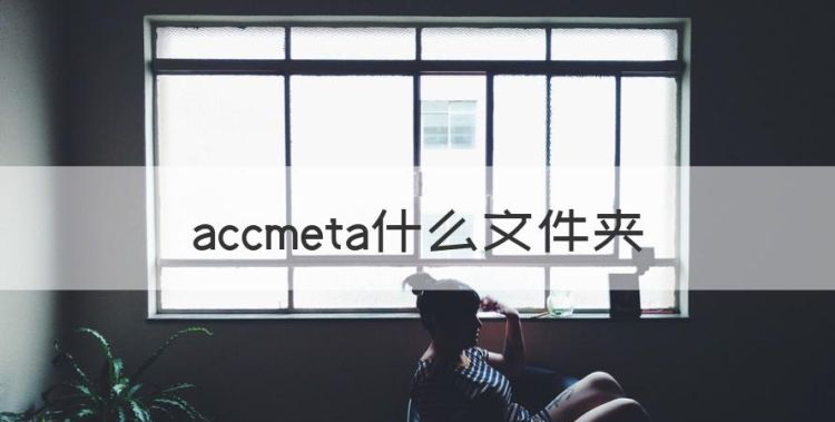 accmeta什么文件夹，手机accmeta可以删除吗