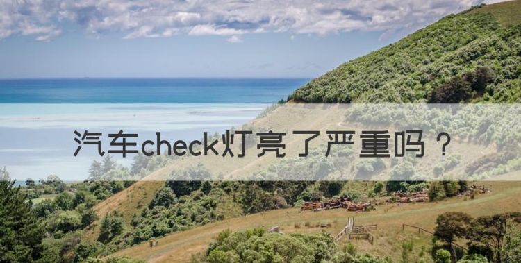 汽车check灯亮了严重