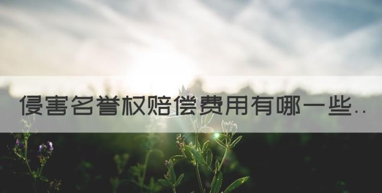 侵害名誉权赔偿费用有哪些，侵犯名誉权赔偿标准是多少图1