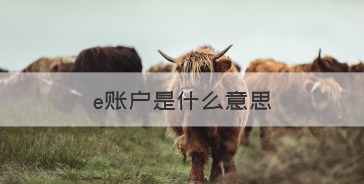 e账户是什么，e账户是什么意思图1