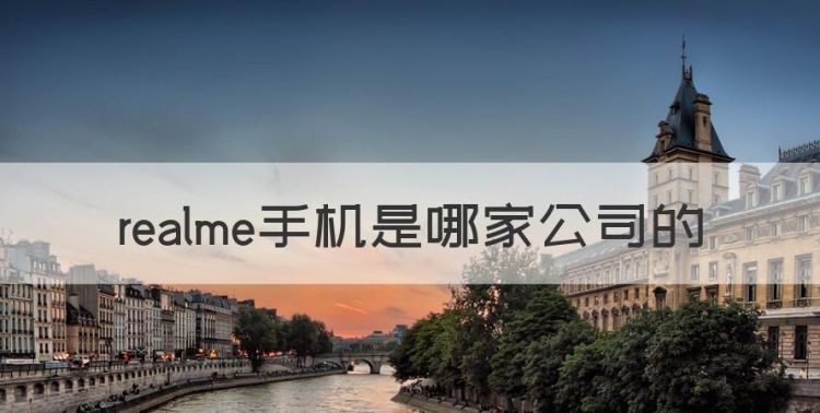 realme手机是哪家公司的图1