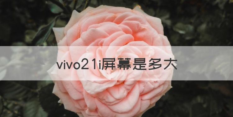 vivo2i屏幕是多大，vivo手机x21尺寸多少