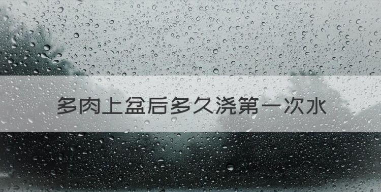 多肉上盆后多久浇第一次水，多肉种好了隔几天可以浇水吗图1