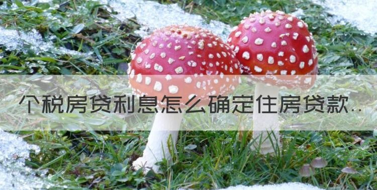 个税房贷利息怎么确定住房贷款