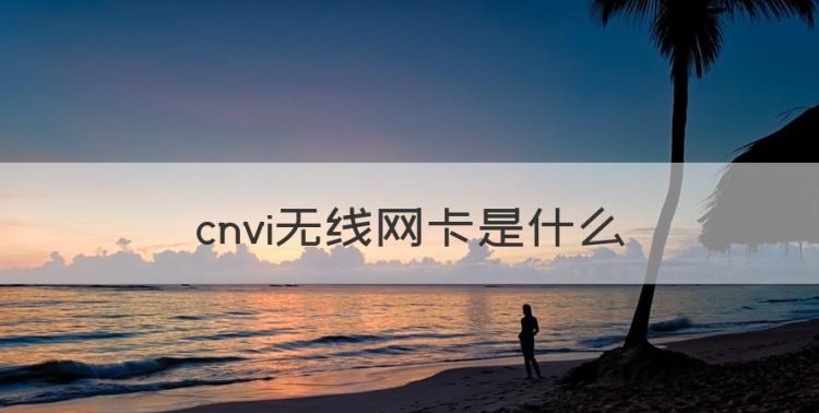 cnvi无线网卡是什么图1