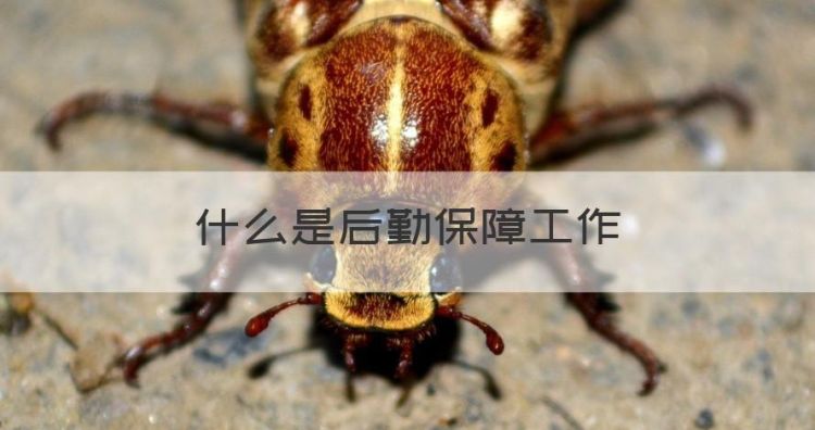 什么是后勤保障工作，后勤保障人员是什么意思图1