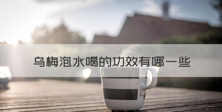 乌梅茶的功效与作用，乌梅泡水喝的功效有哪些图1