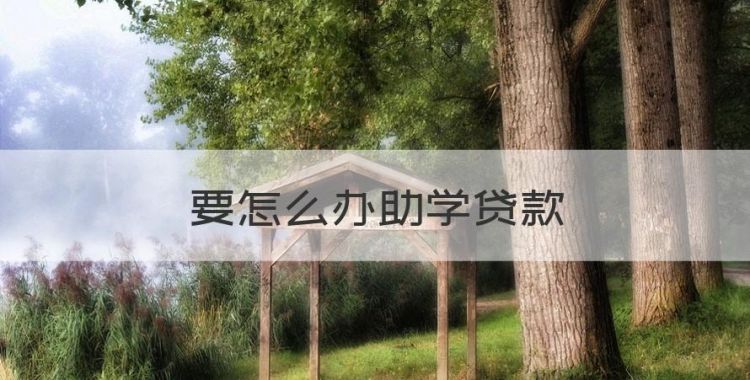 要怎么办助学贷款，怎样办理助学贷款2022图1