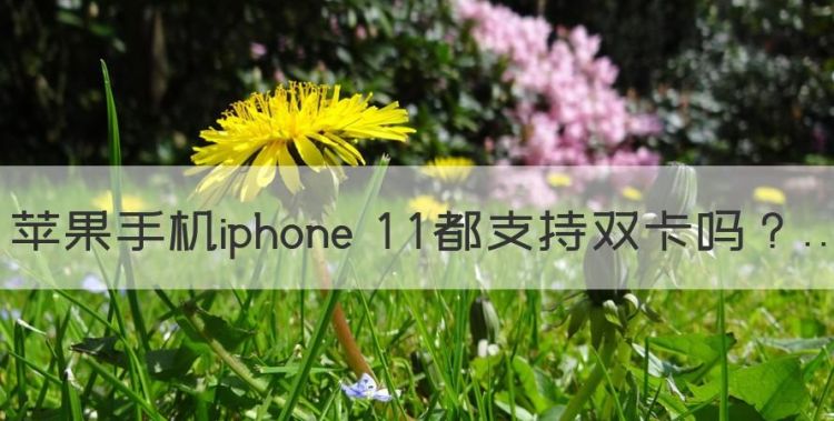 苹果可以双卡双待，苹果手机iphone 都支持双卡图1