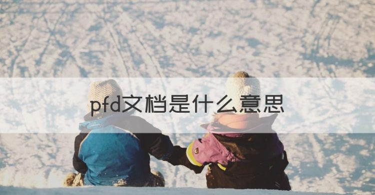 pfd文档是什么意思，pdf格式是什么意思图1