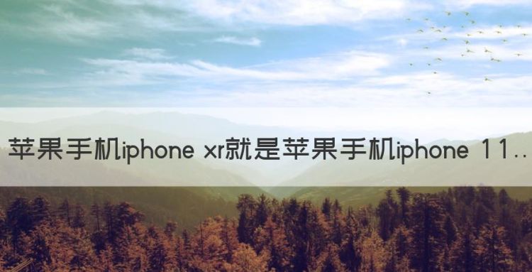 苹果手机iphone xr就是苹果手机iphone图1