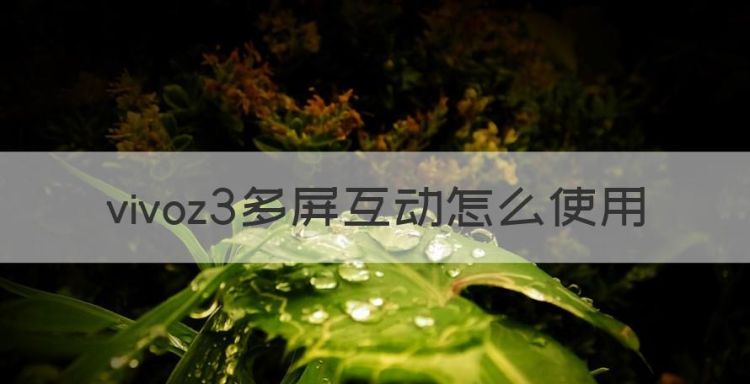 vivoz3多屏互动怎么使用，手机上的多屏互动怎么用?