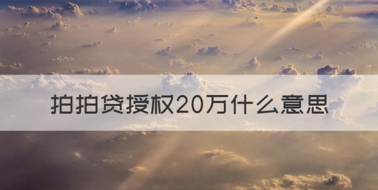 拍拍贷授权20万什么意思图1