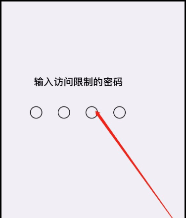 苹果怎么设置软件密码锁，苹果手机怎么设置打开软件要密码图6