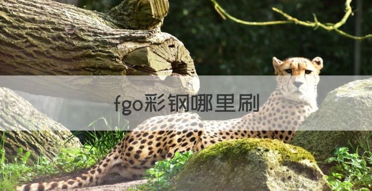 fgo彩钢哪里刷，fgo挖矿是什么意思图1