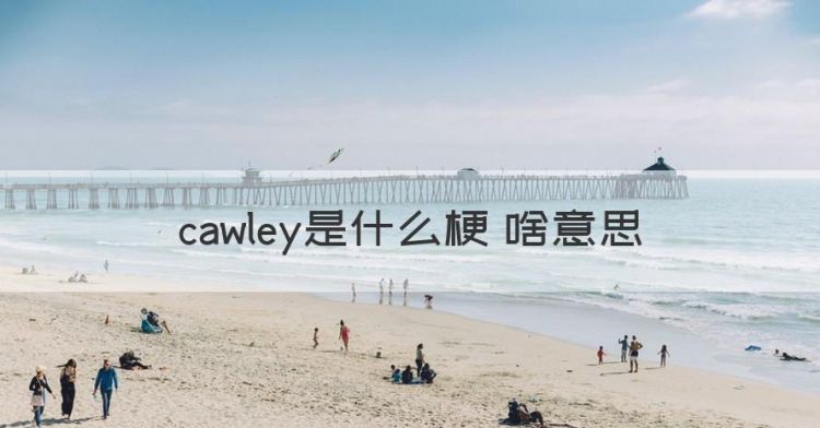 cawley是什么梗 啥意思图1