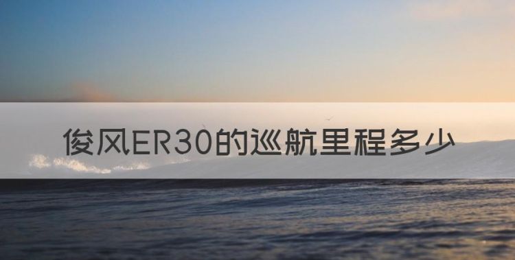 俊风ER30的巡航里程多少，俊风er30电池换一组多少钱图1