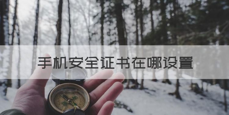 手机安全证书在哪设置，华为荣耀v20的证书信任设置在哪?图1